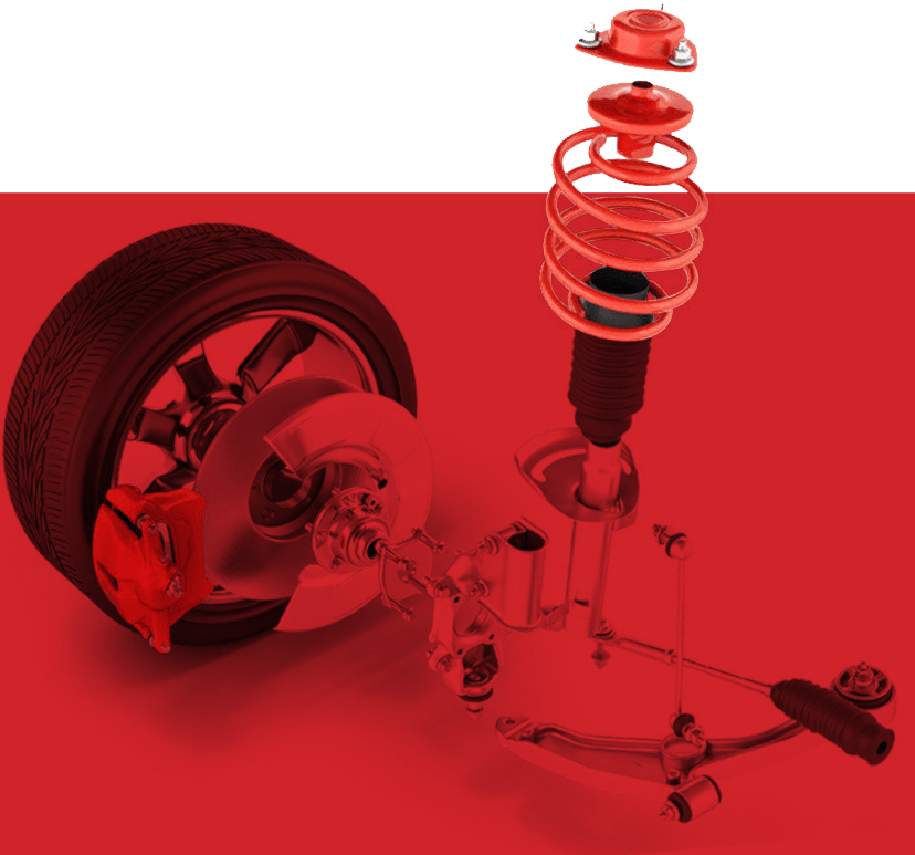 Zhejiang Zongheng Spring Co., Ltd.